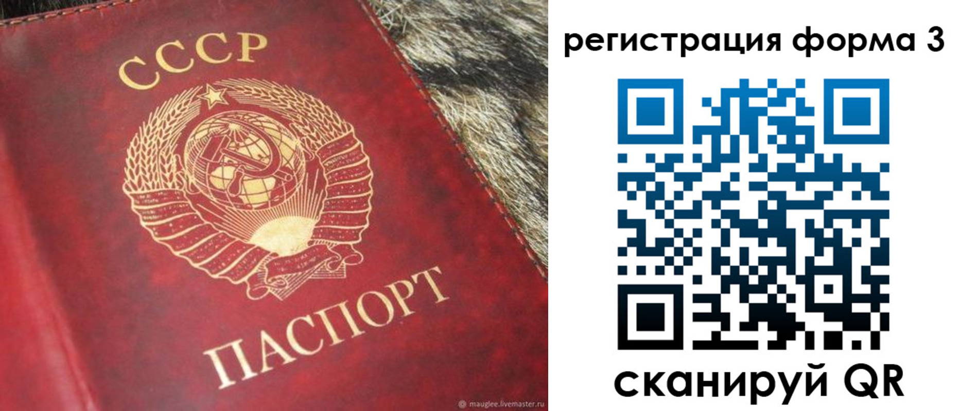 прописка регистрация в Киришах